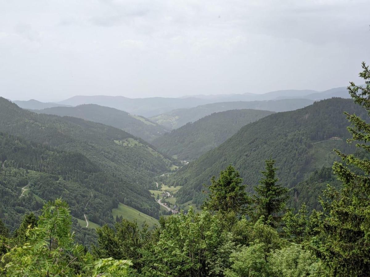 Apartamento Schwarzwaldglück Schluchsee Exterior foto