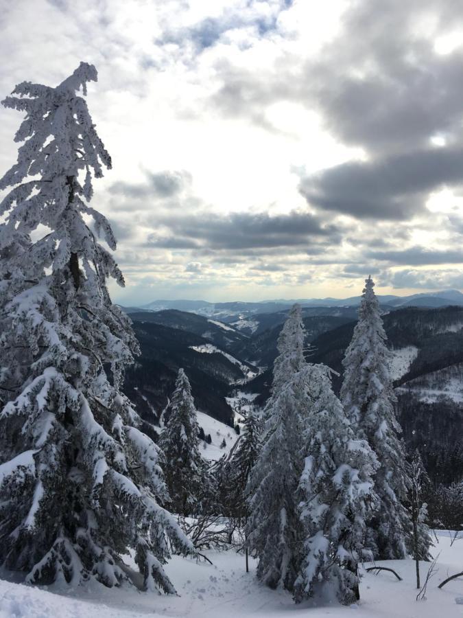 Apartamento Schwarzwaldglück Schluchsee Exterior foto